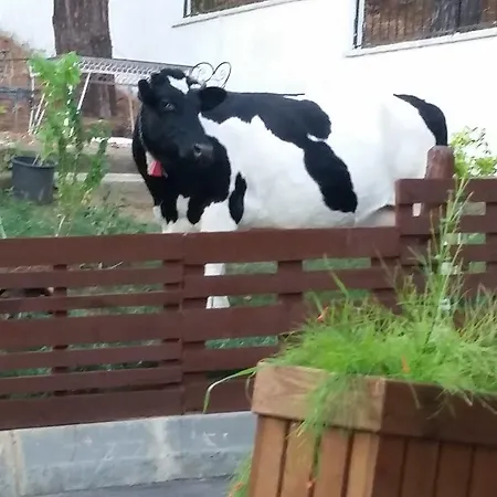 Asiklar By Suekrue Hotel Adalar